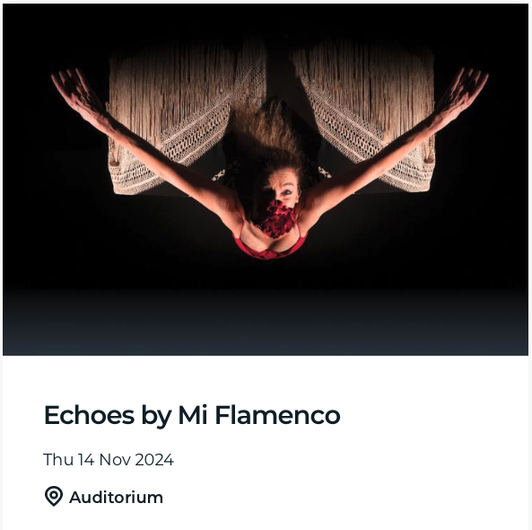 Echoes by Mi Flamenco