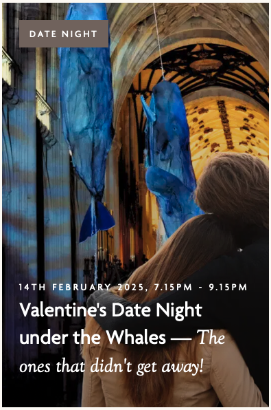 Valentine's Date Night under the Whales with live music by shanty crew High and Dry