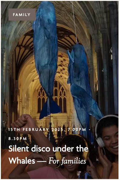 Silent disco under the Whales